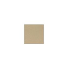 "Шахтинская плитка" (Россия) Техногресс 59,6х59,6 светло-коричневый полированный