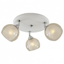 Citilux Спот Citilux Самба CL158131 ID - 384425