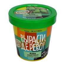 Набор для выращивания ВЫРАСТИ ДЕРЕВО! Киви зимостойкое