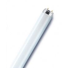 OSRAM Люминесцентная лампа OSRAM LUMILUX  L 36W 827-1 T8 G13 970 мм