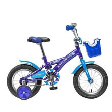 Велосипед Novatrack Delfi 12 (2016) синий 124DELFI.BL5