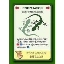 Настольная игра ПРАВИЛЬНЫЕ ИГРЫ 13-01-01 Эволюция