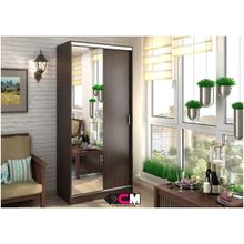 Шкаф-купе двухдверный Альянс 1.0