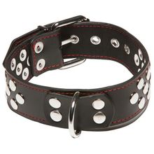 Allure Lingerie Ошейник с кольцом X-Play Collar With D-ring