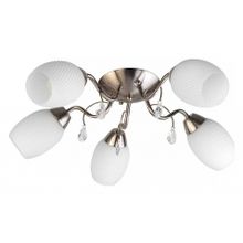Toplight Потолочная люстра TopLight Paula TL3550X-05SN ID - 422697