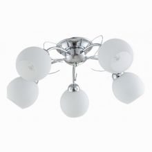 Toscom Camila TC-995-705