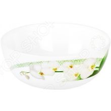 Luminarc White Orchid