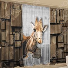 ТамиТекс «Среда обитания»