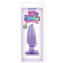 NS Novelties Малая фиолетовая анальная пробка Jelly Rancher Pleasure Plug Small - 10,2 см. (фиолетовый)