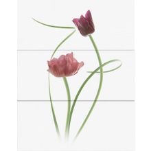 Керамическая плитка Novogres Wind Oriana Decor (3 шт.) панно 70х90