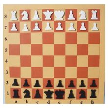 Доска шахматная демонстрационная малая, ШП