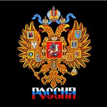 Футболка РОССИЯ с золотым гербом двухсторонняя.