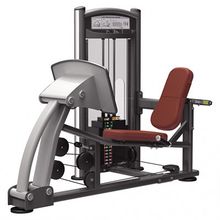 Жим ногами 300ф Aerofit IT9310