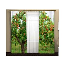 Фотошторы яблоки созрели