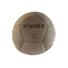 Winner Медицинбол Winner, 5 кг, натуральная кожа (нубук)