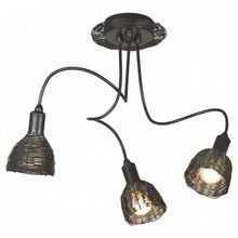 Lussole Потолочная люстра Lussole Ancona LSN-1003-03 ID - 394211