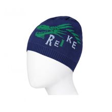 Reike Шапка Reike Dragons navy RKNSS17-DRG1-YN navy