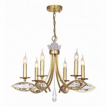 Favourite Tesoro 1927-6P