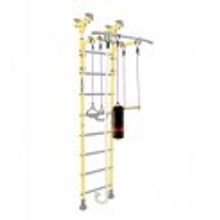 Midzumi Hoshi Boxing