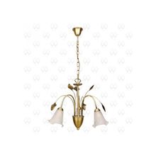Люстра подвесная MW-Light Флора 256015603