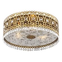 Потолочный светильник Odeon Light Salona 2641 3C