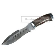 Нож Барс-2 (дамасская сталь), кожа