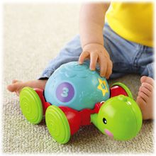 Fisher-Price обучающая Черепашка на колесиках