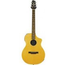 VARIAX 300 ACOUSTIC STEEL GUITAR NATURAL