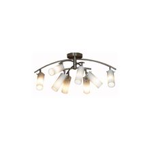 LUSSOLE  Светильник LSC-2707-08 Lussole Fleons