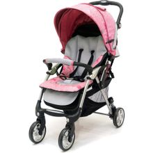 Прогулочная коляска Jetem Tourneo (Flover Red Licht Grey)