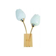 ARTE LAMP  Бра Tulip A8292AP-2PB