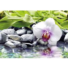 Панно Cersanit BlackStone C-BS2M452 (из 2-х плиток) 500х350