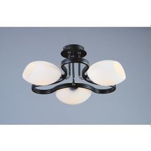 Люстра OML-26907-03