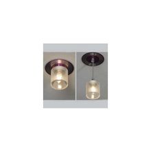 Lussole LSF-0860-01 DOWNLIGHTS точечный встаиваемый подвесной светильник