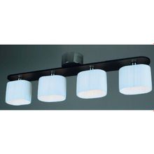 Светильник потолочный Николь MW-Light 364010404