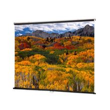 Draper Draper V Screen 274x274