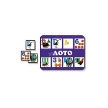 Stellar (Стеллар) Лото Азбука Математика, артикул 00902 (унисекс)