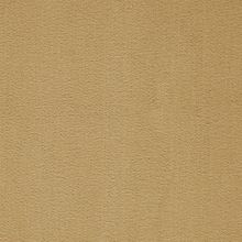 ITC Arc Edition Prominent 037 30 м*4 м 7 мм