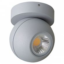 Lightstar Накладной светильник Lightstar Globo LED 051009 ID - 389877