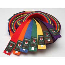 Коричневый пояс (карате) KAMIKAZE для детей и юниорв 3,5 260см