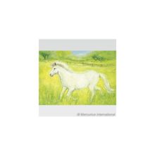 Het witte paardje - Бегущая Лошадь