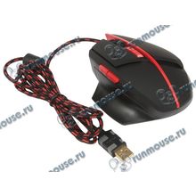 Оптическая мышь Sven "RX-G905", 6кн.+скр., черно-красный (USB) (ret) [140641]