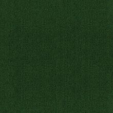 Tarkett Sintelon Greenfield Greenfield TPP53 25 м*2 м 7.5 мм