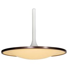 LArte Luce Подвесной светильник LArte Luce  L21762.02 ID - 431238