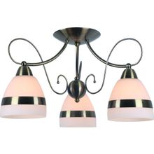 Потолочный светильник Arte Lamp A6192PL-3AB NOEMI