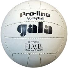 Мяч волейбольный GALA Official Size, прессованная кожа, шитый