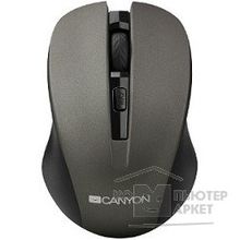 Canyon CNE-CMSW1G Gray USB