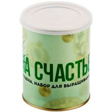 На счастье набор в банке для выращивания (драцена)