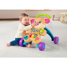 Fisher Price (MATTEL) Mattel Fisher-Price FRD06 Фишер Прайс Ходунки "Сестричка Ученого Щенка" FRD06