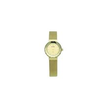 Женские наручные часы Skagen Mesh Classic 456SGSG